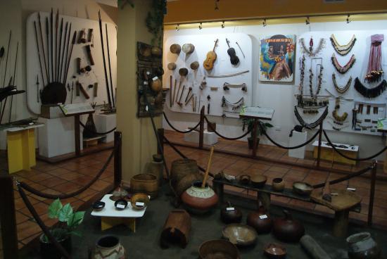 Museo Amazonico